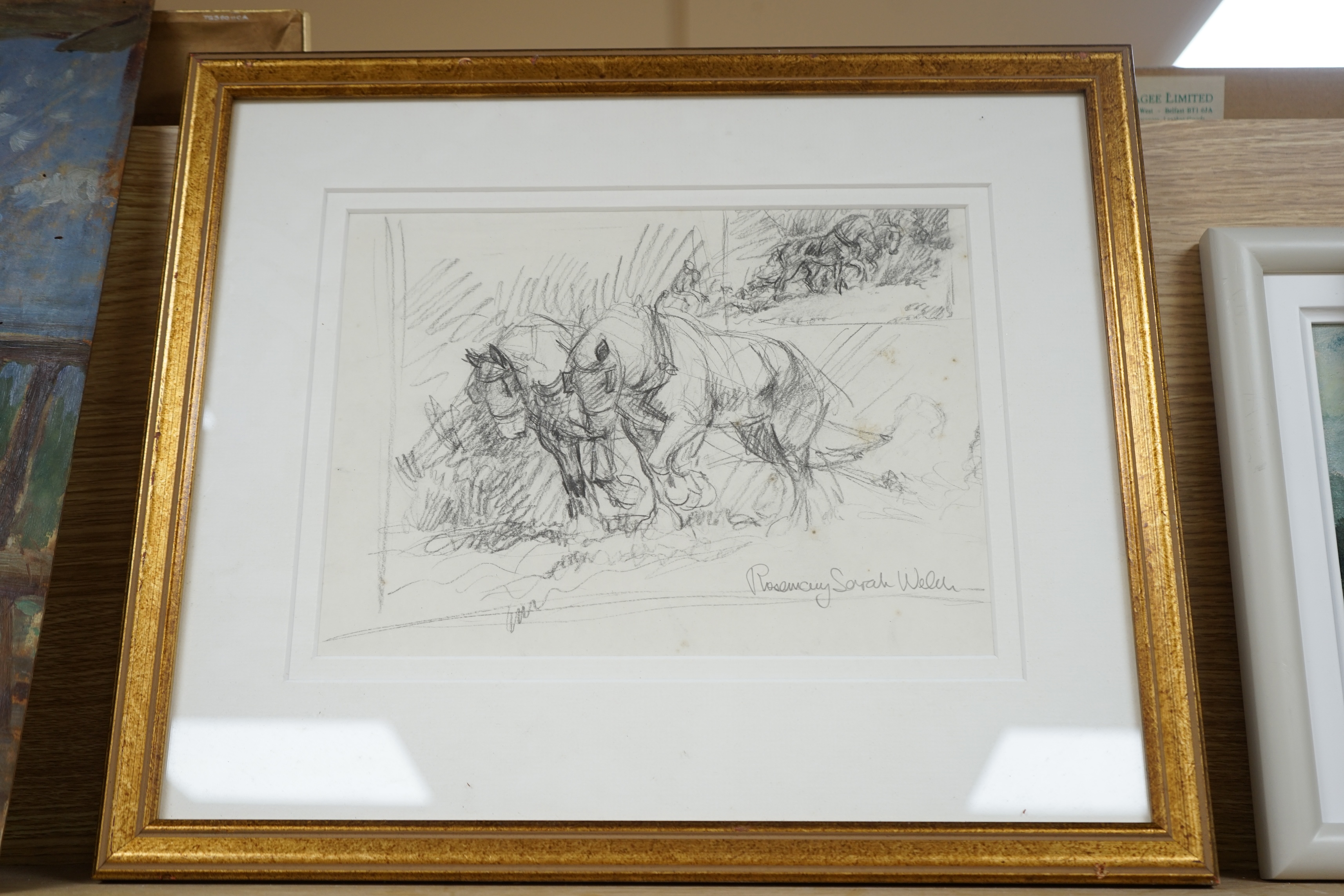 Rosemary Sarah Welch (b.1946), pencil sketch, Study of work horses ploughing, signed, 20 x 27cm. Condition - poor to fair
